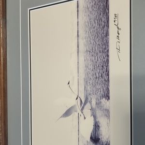 Thomas D. Mangelsen Framed & Signed Photo.